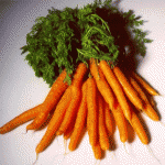 Морковь полезные свойства весной