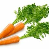 Польза моркови для здоровья человека