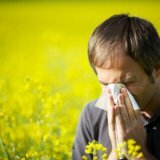 Аллергическая реакция весной у человека