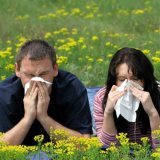 Аллергия в организме здорового человека